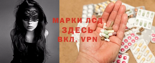 стаф Алексин