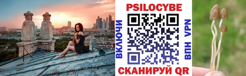 хочу наркоту  Азов  Галлюциногенные грибы Psilocybine cubensis 