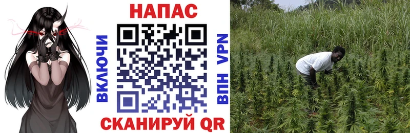 Канабис ГИДРОПОН Азов